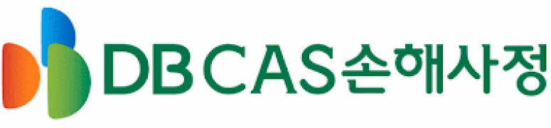 DB CAS 손해사정 도입 사례 로고